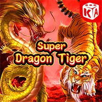 Hỗ trợ và tư vấn chuyên nghiệp