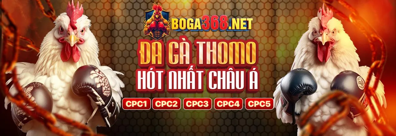 Khuyến mãi bbet link vào 2026