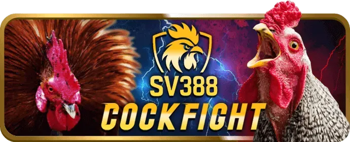 Đội game eSports đang thi đấu trên máy tính, minh họa cá cược eSports bbet